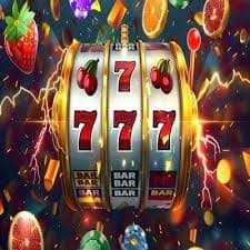 666z Bingo Game Live Rounds & Cards Bangladesh